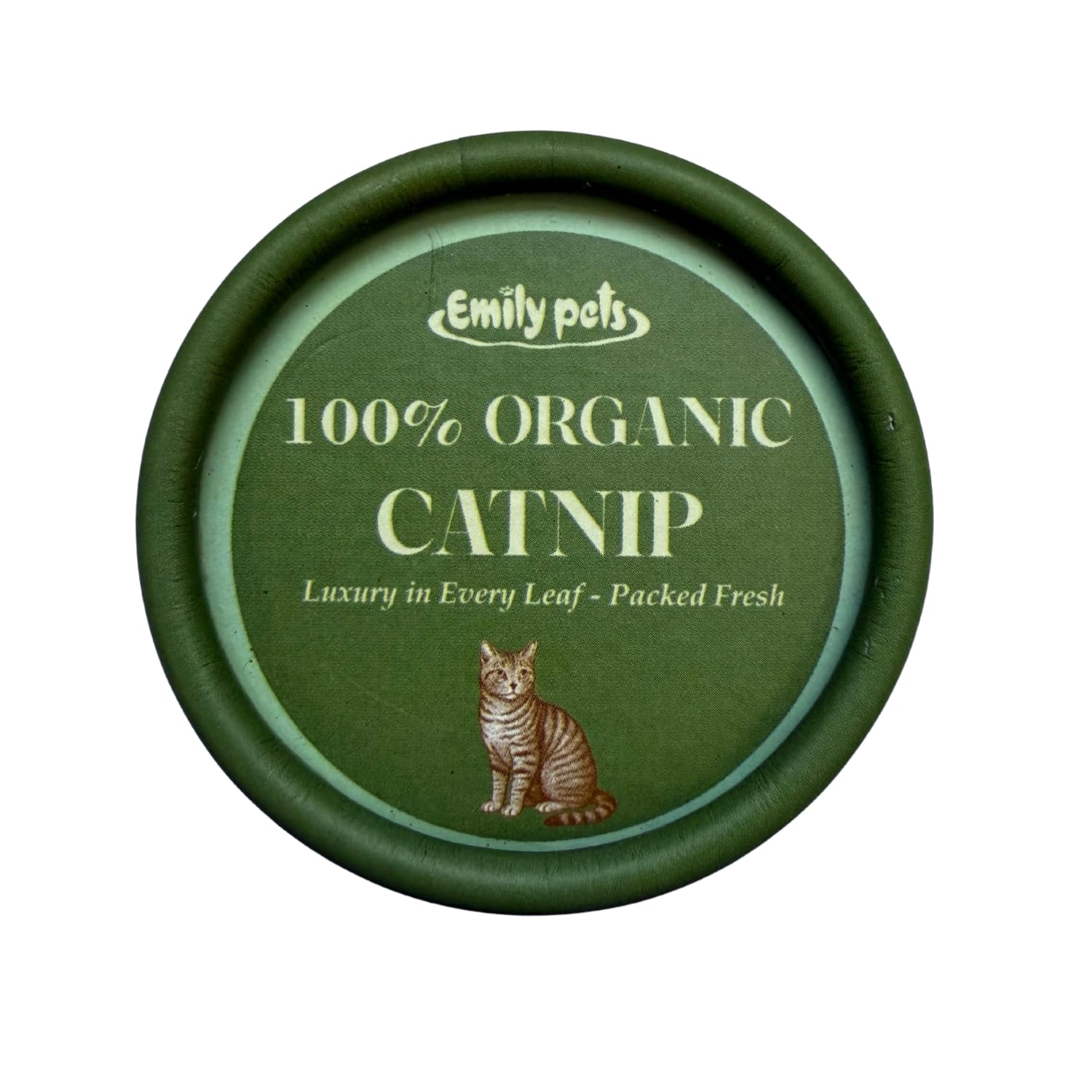 emily pets Premium Organic Catnip, 100% Natural Attractive Mint Fragrance Catnip for Cats Kitten 2