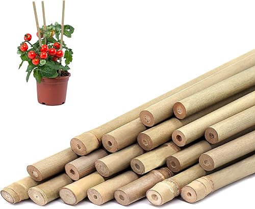 Estacas para plantas de bambú 20 varillas de bambú natural para plantas de interior y exterior estacas de soporte para plantas de 16 pulgadas para