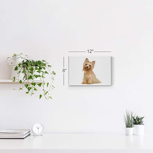 Vista 105 de Smile Art Design Border Collie Bulldog Rottweiler Cachorro Persa Gatito Animal Lienzo Impresión Arte de Pared Pet Cat Dog Lover Sala Dormitorio