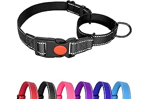 Haapaw Martingale Collar for Dogs, Extra Safety Lock & Soft Buckle, No...