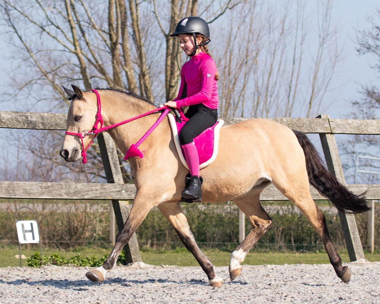 Bareback Pad (sella per monta naturale) (FULL, Fucsia)