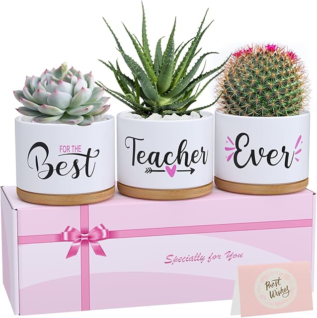 Teacher Appreciation Gifts for Women, Unique Best Teacher Ever Ceramic Succulent Plant Pots, Teacher's Day Graduation Retirement Birthday Christmas Appreciation Week Gifts for Teacher from Students