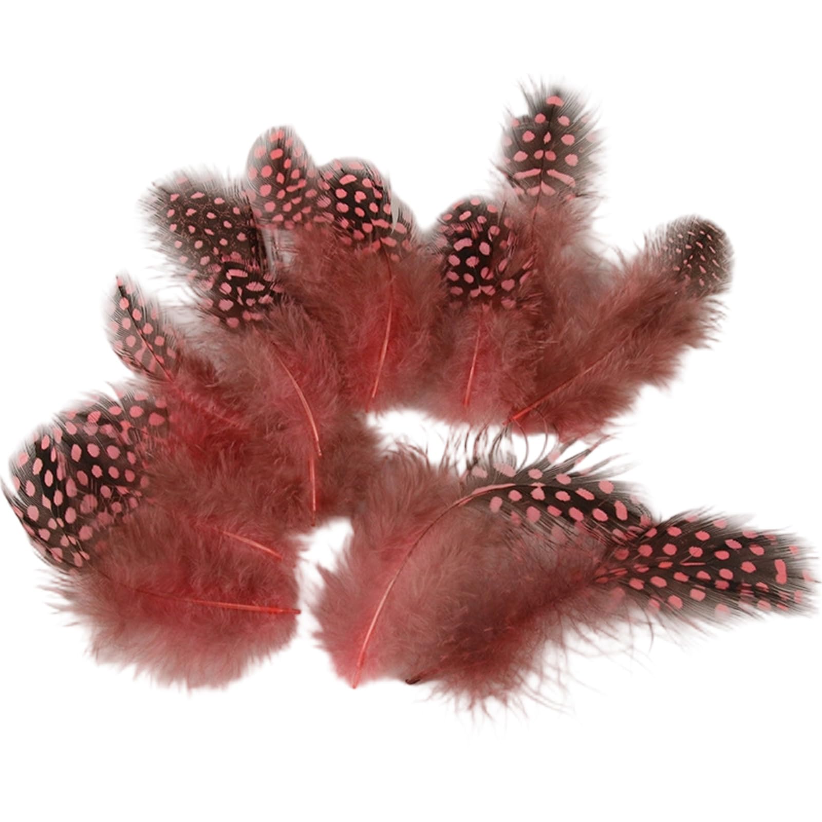 Limtula Of 100 Natural Plumage for Elegant Pearls Accent for Wedding Decorations and Accessories Stage Costume Quills
