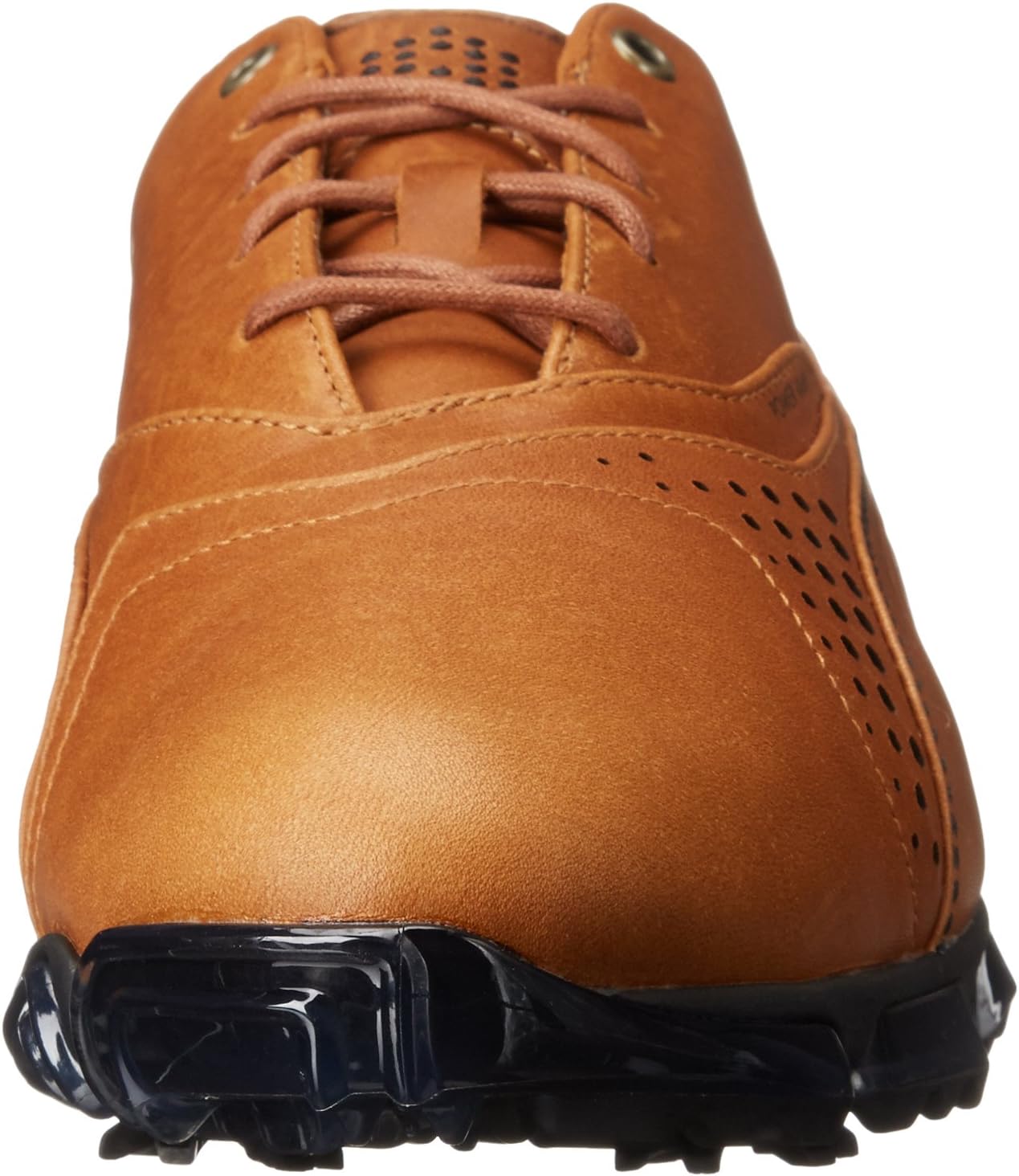 PUMA Men's Titantour Golf Shoe