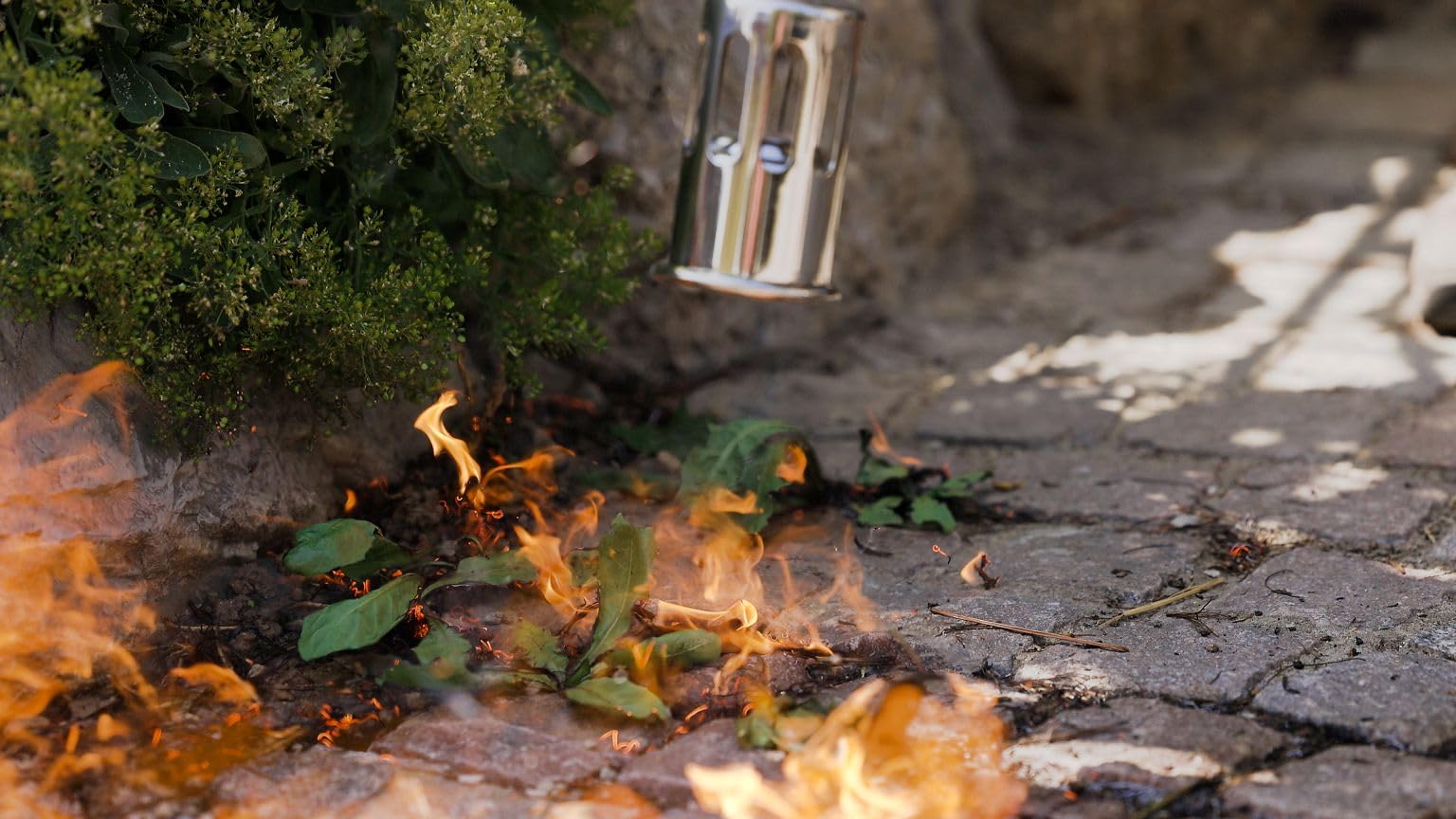 ROTHENBERGER Industrial Brûleur de préchauffage | Brûleur à gaz | Appareil de flambage | Désherbeur | Soudage de membranes bitumineuses | avec tuyau de gaz propane de 5 m | Régulateur 4 bars