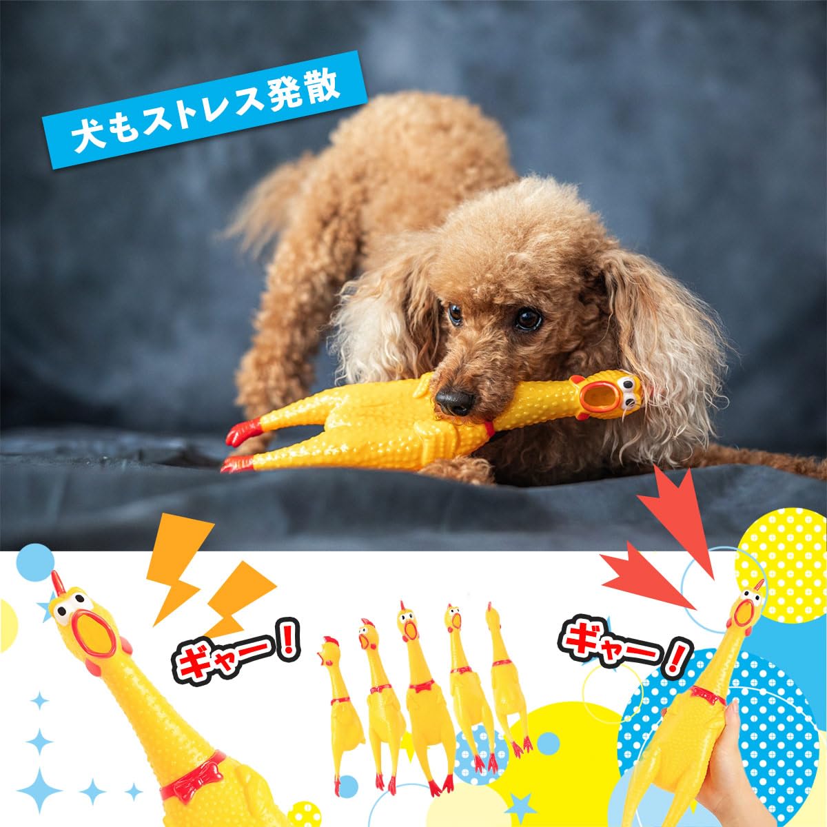 Amazon | びっくりチキン シャウティングチキン チキン ニワトリ