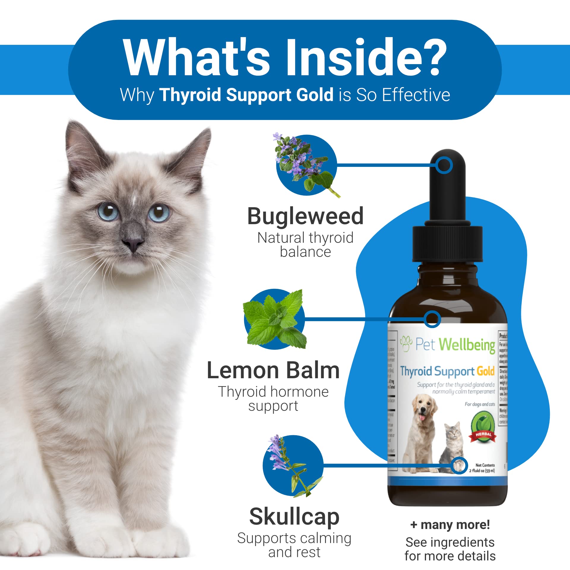 Buy Pet Wellbeing Herbal Thyroid Support for Cats + Supports Healthy