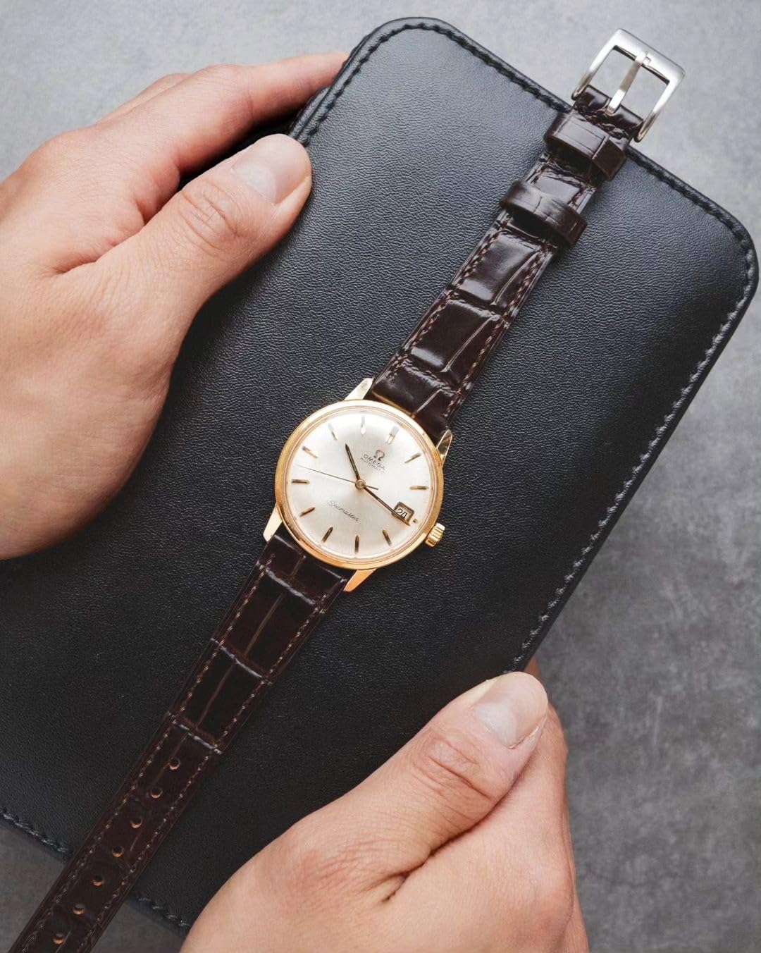 Hemsut Alligator Grain Leather Watch Band, Quick Release Genuine Leather Watch Strap 18mm,19mm, 20mm, 21mm 22mm for Men and Women