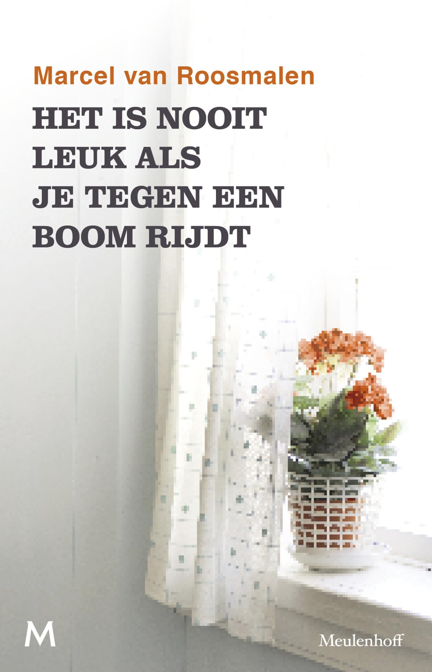 Het is nooit leuk als je tegen een boom rijdt: Kleine verhalen uit een groot land