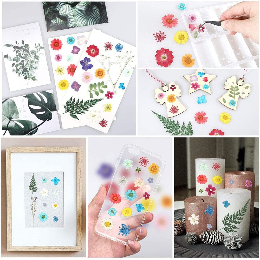 suszone prasowane kwiaty naturalne suszone kwiaty prawdziwe kwiaty prasowane kolorowe suche kwiaty do biżuterii z żywicy Nail Art Craft DIY (biały)