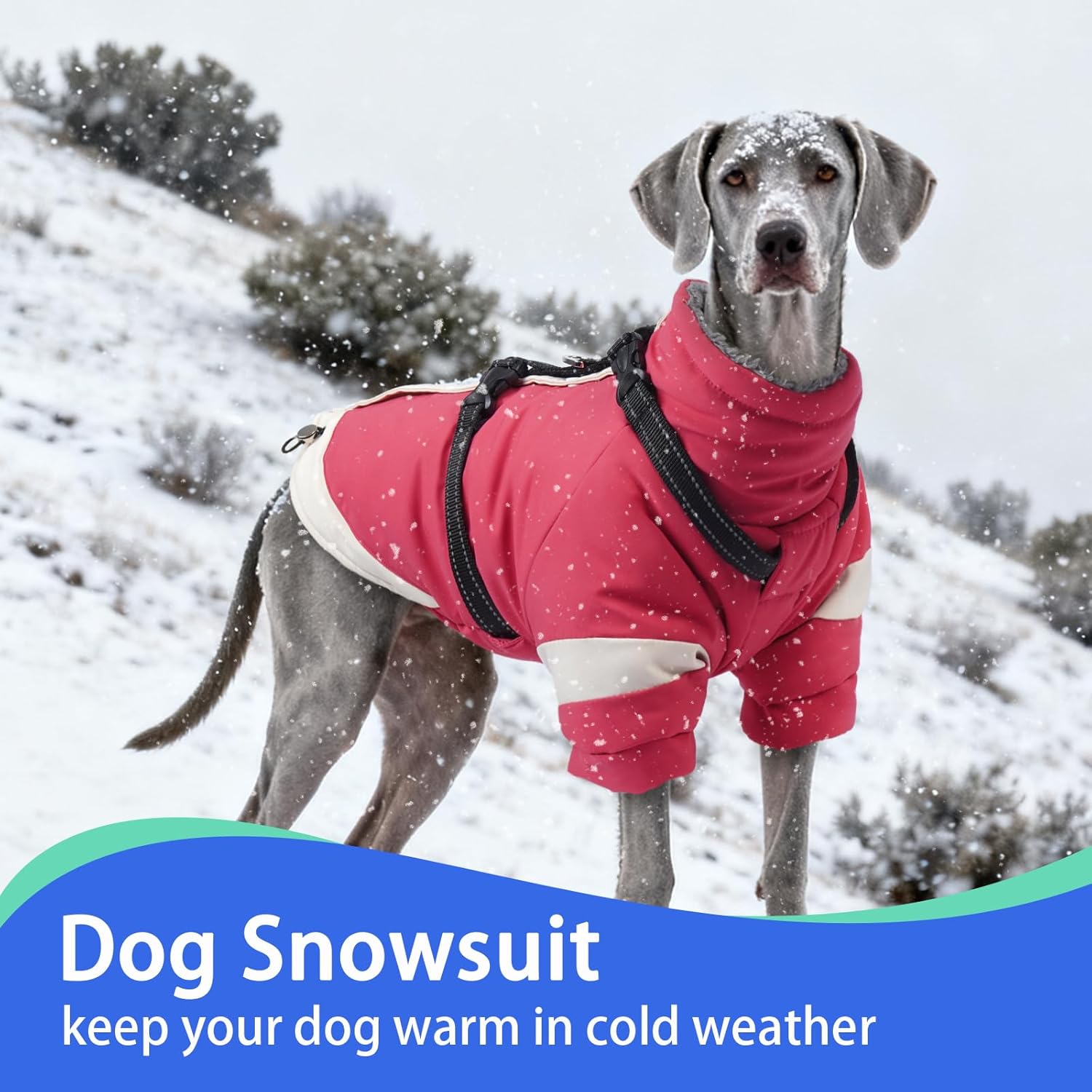 MIGOHI Reflective Dog Winter Coat,Warm Dog Jacket with Harness,Fleece Jacket for Large Dogs,Waterproof Pet Puffer Jacket Snowsuit,Windproof Pet Clothes for Cold Weather,Australian Shepherd,XL,Pink