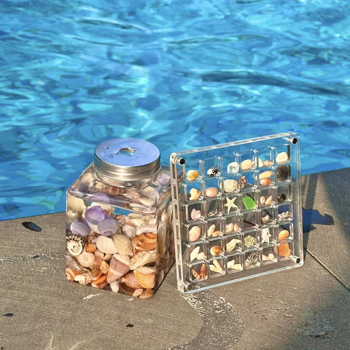 Acrylic Magnetic Seashell Display Box, 36/64/100 Grids Clear Storage Box, Multifunctional Jewelry Display Organizer Case (36Grids)