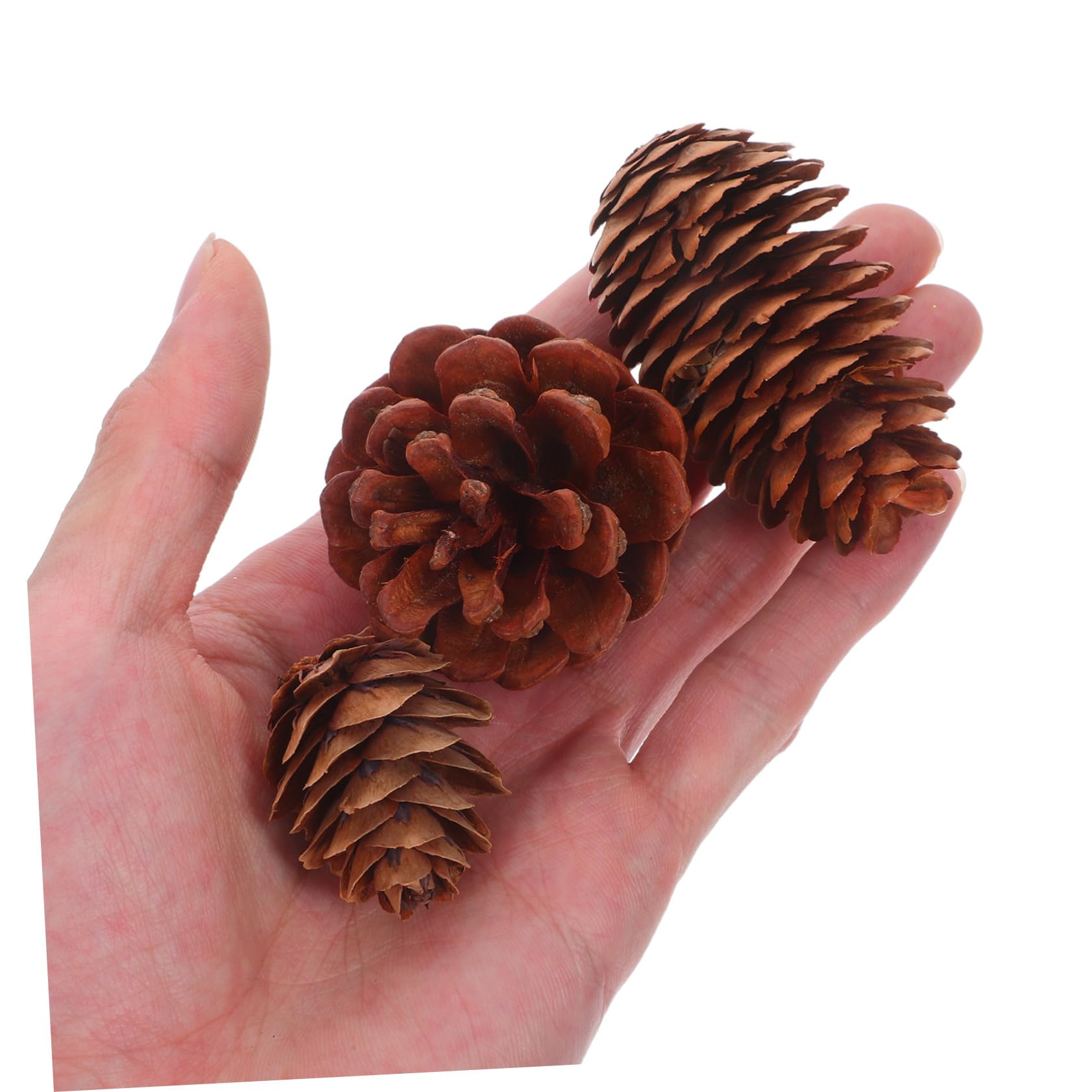 Zerodeko 120 Stück Teiliges Kleine Natürliche Tannenzapfen für Basteln und Dekoration Vielseitig Einsetzbar als Vase Füller oder Weihnachtsbaum Schmuck Nachhaltige Mini Pine Cones für
