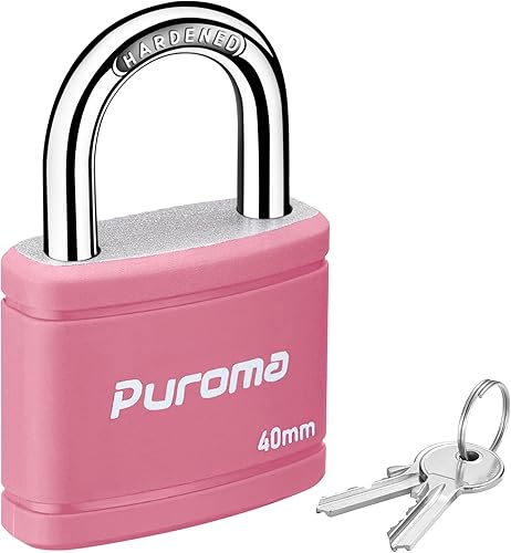 Puroma Candado con llave con 2 llaves iguales, cerradura de casillero de 1.1 pulgadas, cerraduras de alta resistencia para puerta, cerrojo, caja de