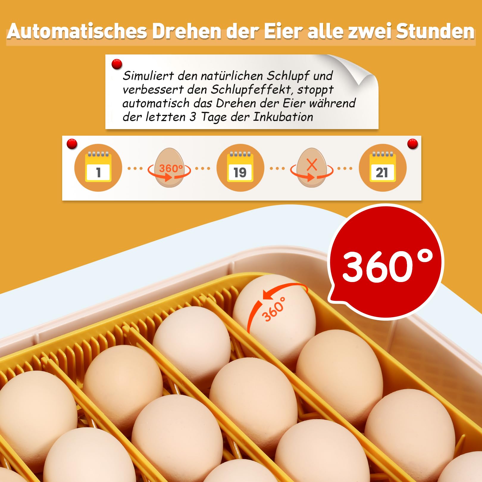 Sailnovo Brutautomat Vollautomatisch, Brutmaschine Eierinkubator für 56 Eier mit Temperaturkontrolle, Automatischer Befeuchtung, Automatischem Wenden der Eier und Schierlampe Für Eier Gelb