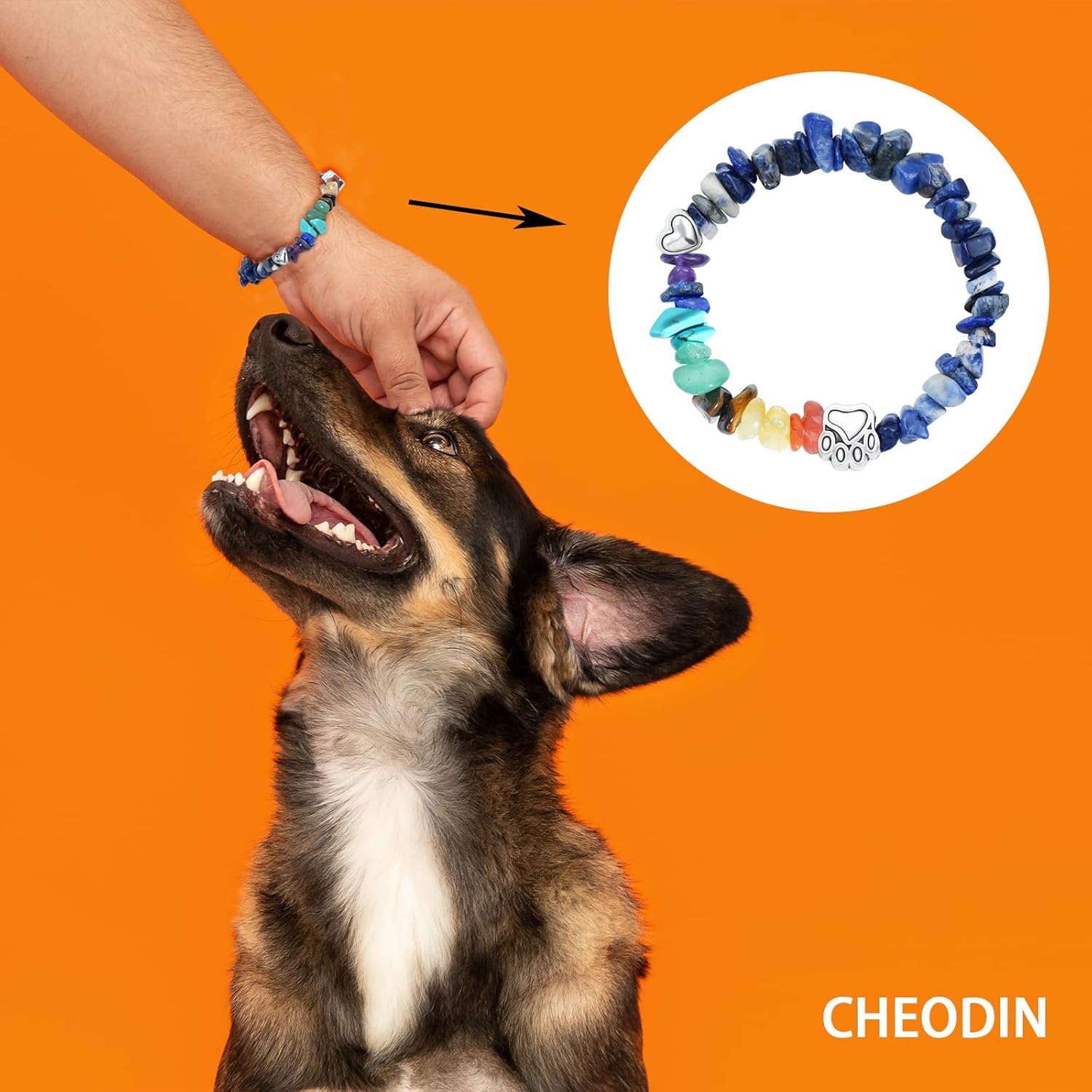 Rainbow Bridge Pet Memorial Bracelet - 7 Colors Chakra, Sympathy Gift for Loss of Dog or Cat, 7MM Mixed Color Gravel Stone, Bracelet for Grieving Pet Owners - Image 2