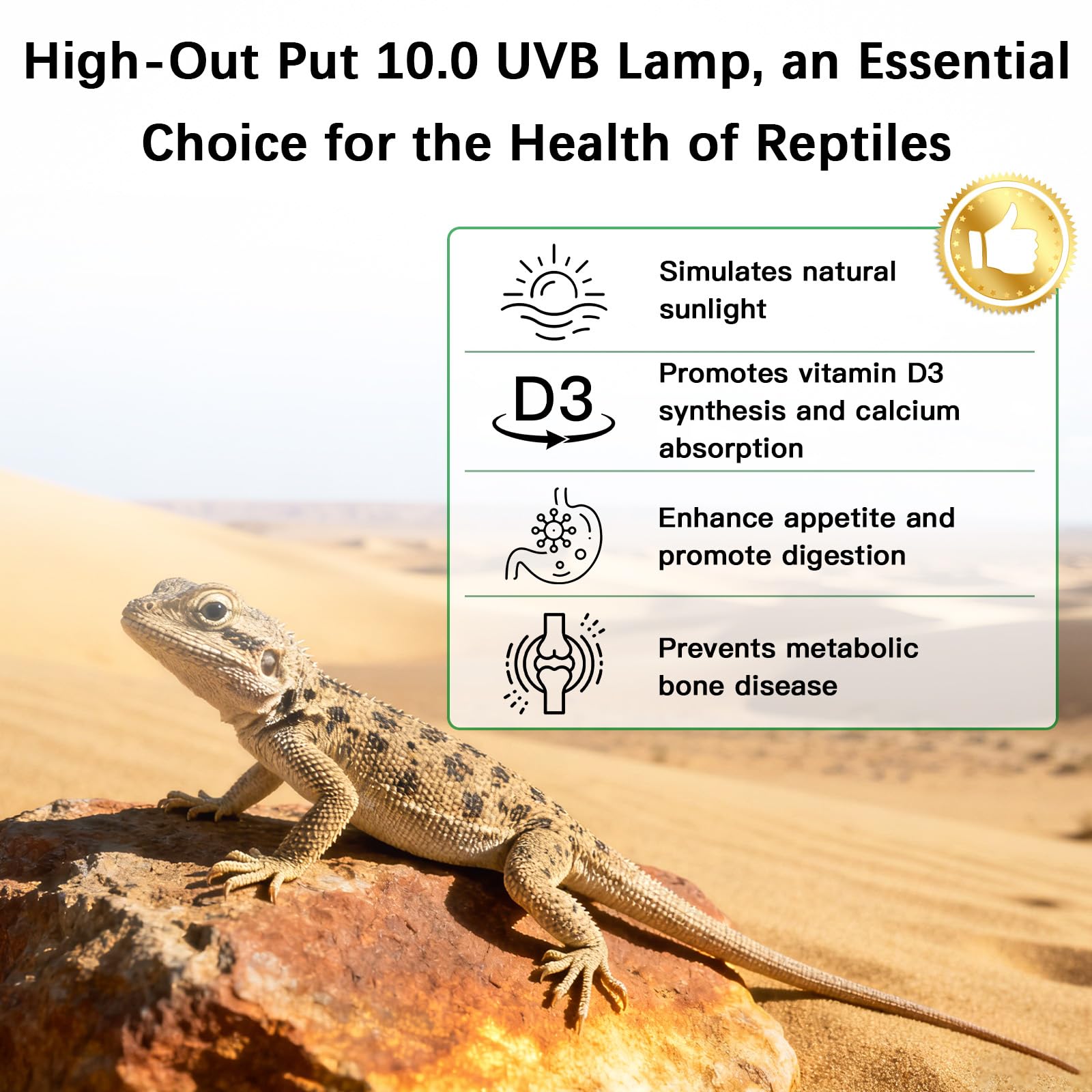 T5 10.0 UVB Reptile Light Fixture Combo Kit, 8 W ad alto rendimento UVA UVB luce con riflettore in lega più ampio aggiornato per draghi barbuti, lucertole tartarughe e rettili del deserto o