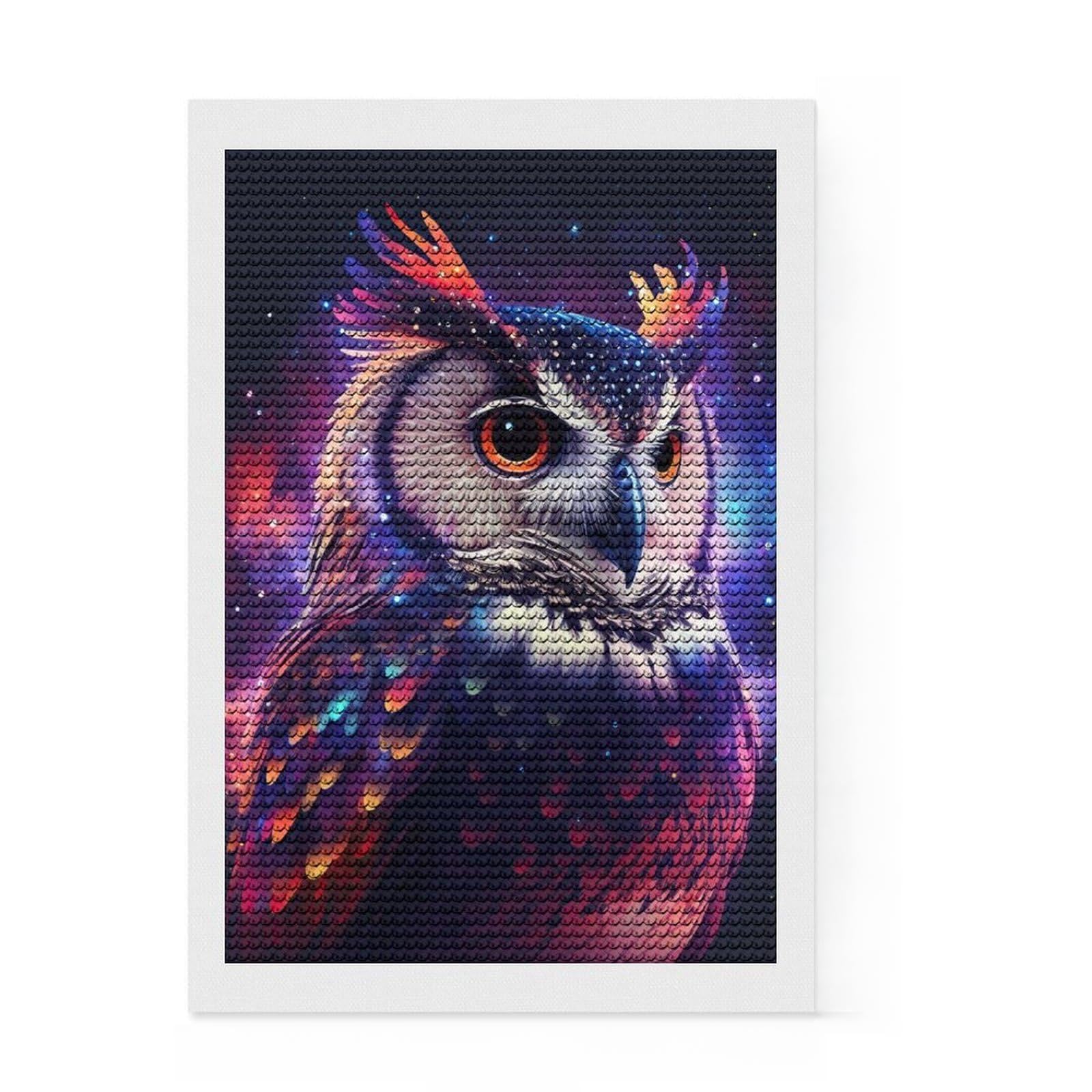 Junmoney Owl Neon Diamond Art Canvas 8"x12", Neat Printed Canvas, Mindful Craft Activity, Cosy Home Accent, Festive Craft Gift