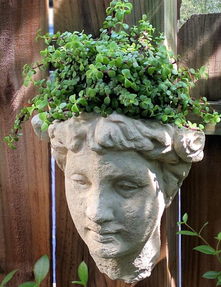 Garden Goddess Bust Wall-Mounted Head Planter, 12-Inch American Made Cast Stone, Classic Natural Color…