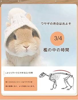 ももうさぎページ うさぎのしっぽ通販は、『うさぎと暮らす 89号』を全国へお届け