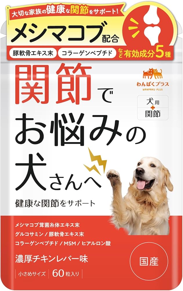 関節でお悩みの犬さんへ