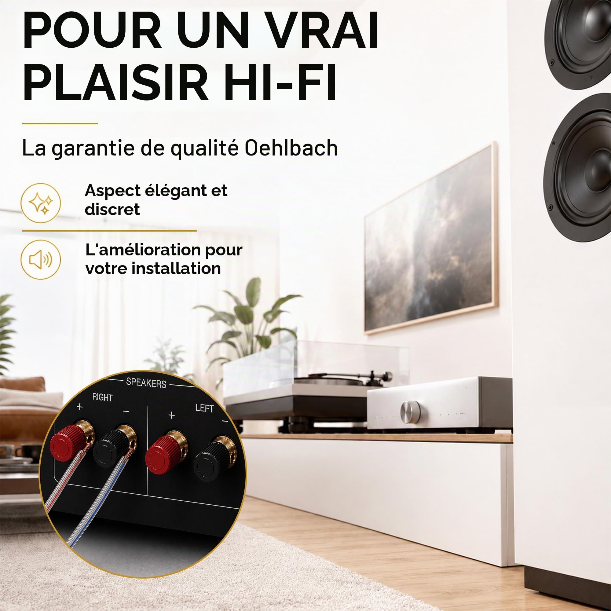 Oehlbach 185 Câble HP 2x2,50 mm² 10m Argent