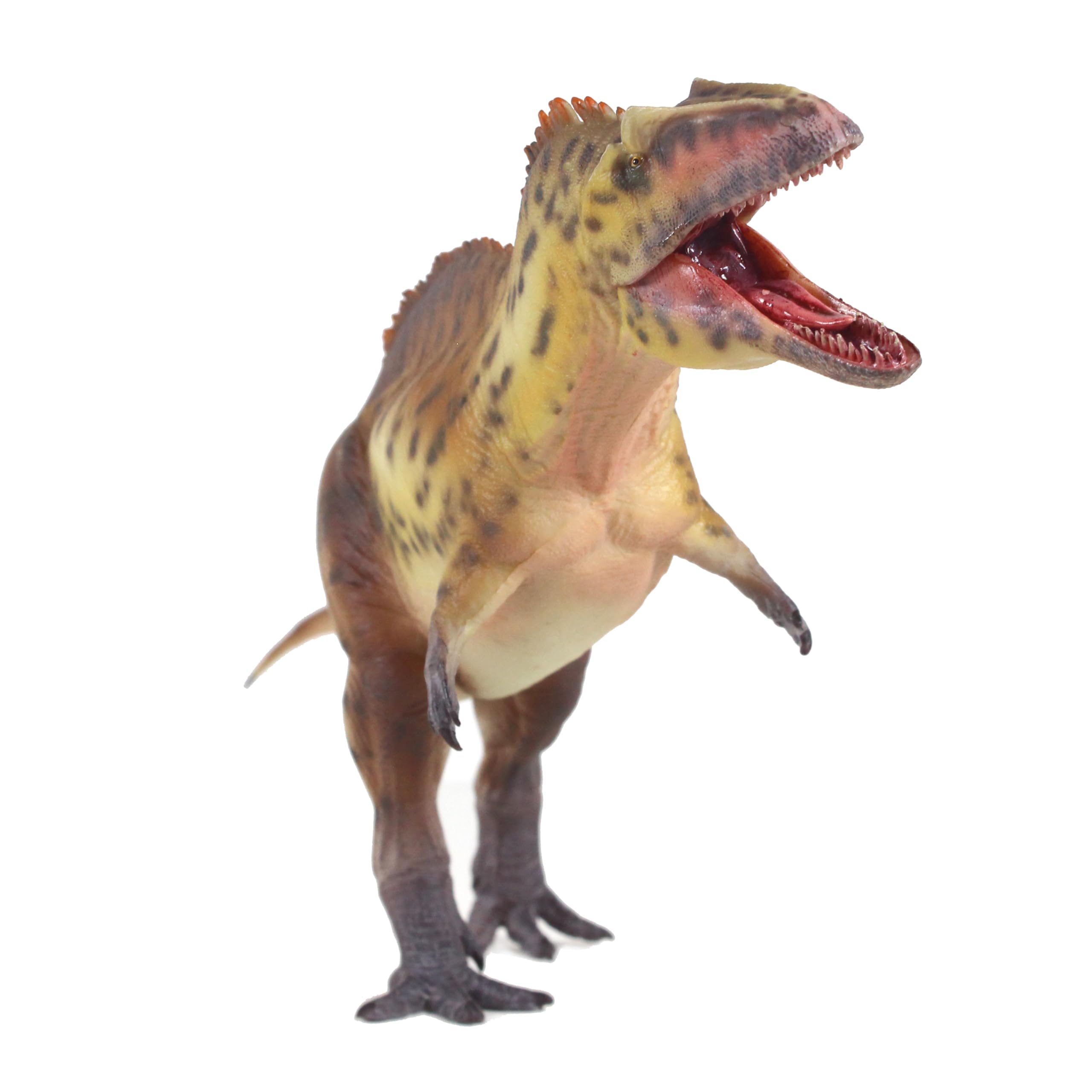 Amazon.co.jp: HAOLONGGOOD アクロカントサウルス 1:35 科学と芸術