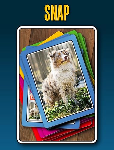 Miniatura 6 de SMART CARDS - Juegos de cartas para perros  Pares, Snap, Trumps, Rummy, Happy Families (8 juegos para jugar)  Edad 5 +, 1-8 jugadores  Divertidos
