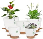 Set de planteur d'eau autonome, 5Pack Petits pots de plantes en plastique avec trous de drainage et soucoupes, Modern 7+6.5+6+5.5+5 INCH Set de pots de fleurs pour plantes d'extérieur intérieur - noir