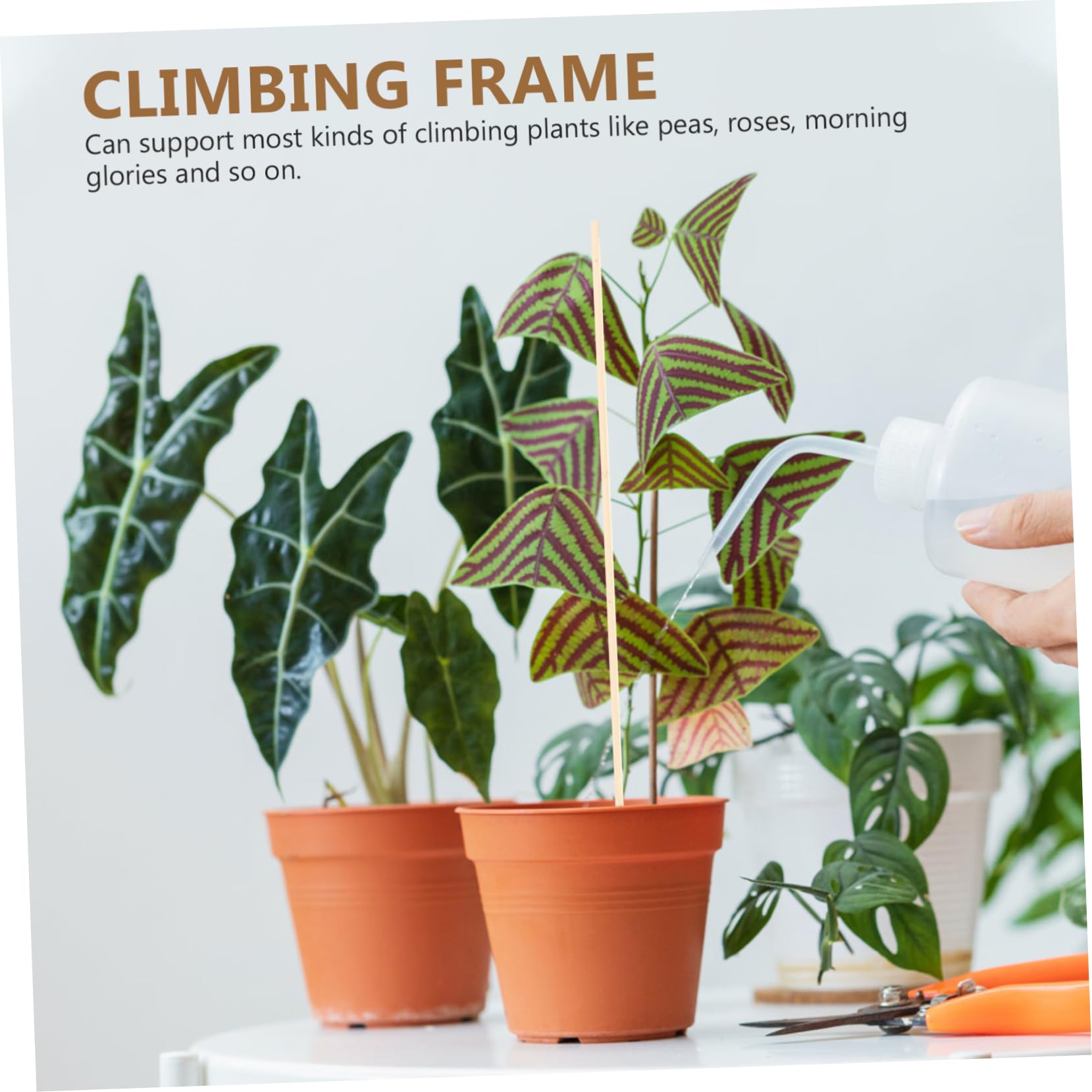 UKCOCO 4 Ensembles Tuteurs De Plantes Lot de Supports pour Plantes Grimpantes Fleurs pour Intérieur Extérieur Stabilité Saine 20 Pièces * 4