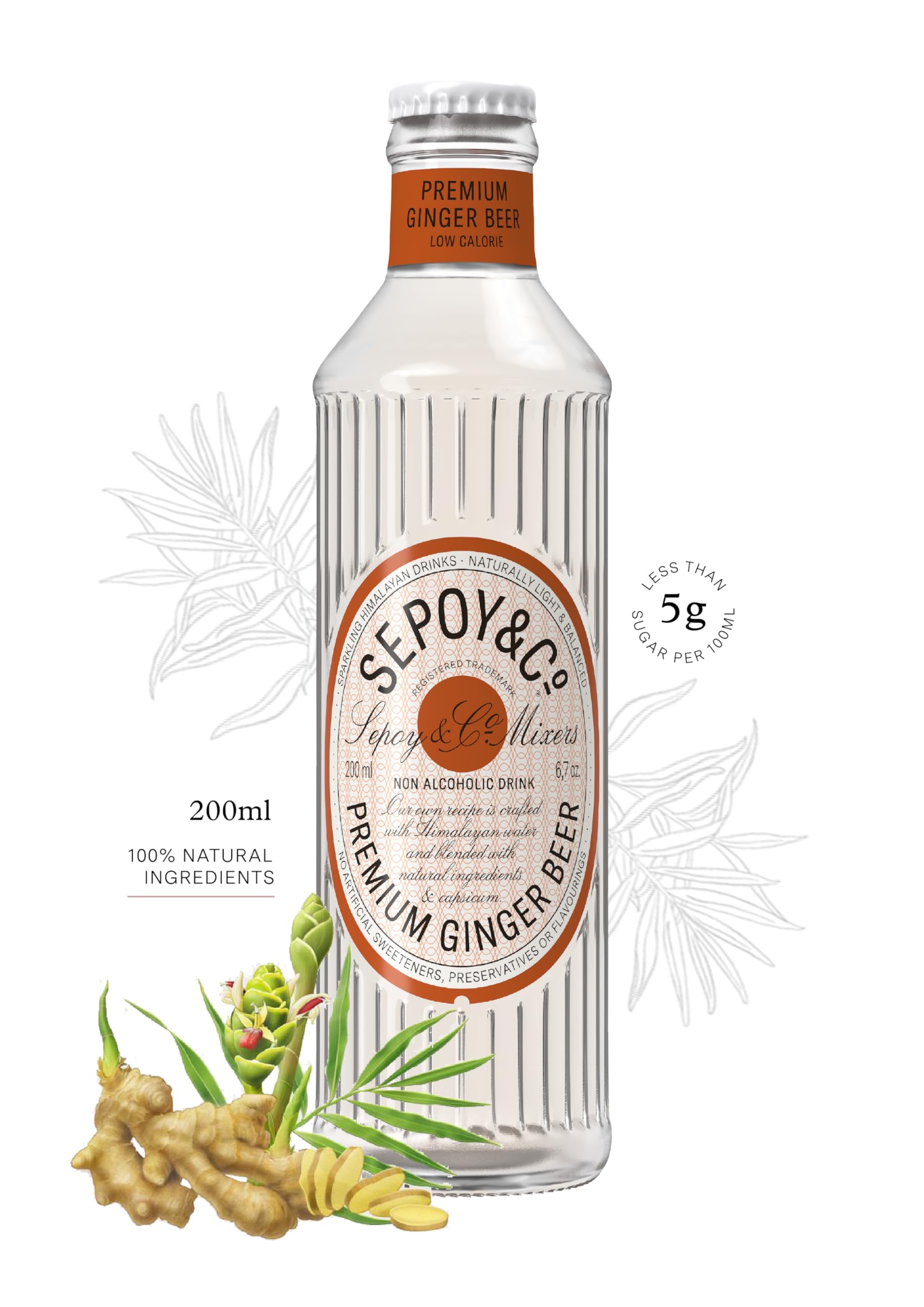 Sepoy & Co. Premium Ginger Beer (Pack of 12 X 200ml) | Premium Ginger Ale | Low Calorie | Sparkling Himalayan Drink | 100% Natural Ingredients (Pack of 12) (B0CKFBKGQ3) Amazon Price History, Amazon Price Tracker