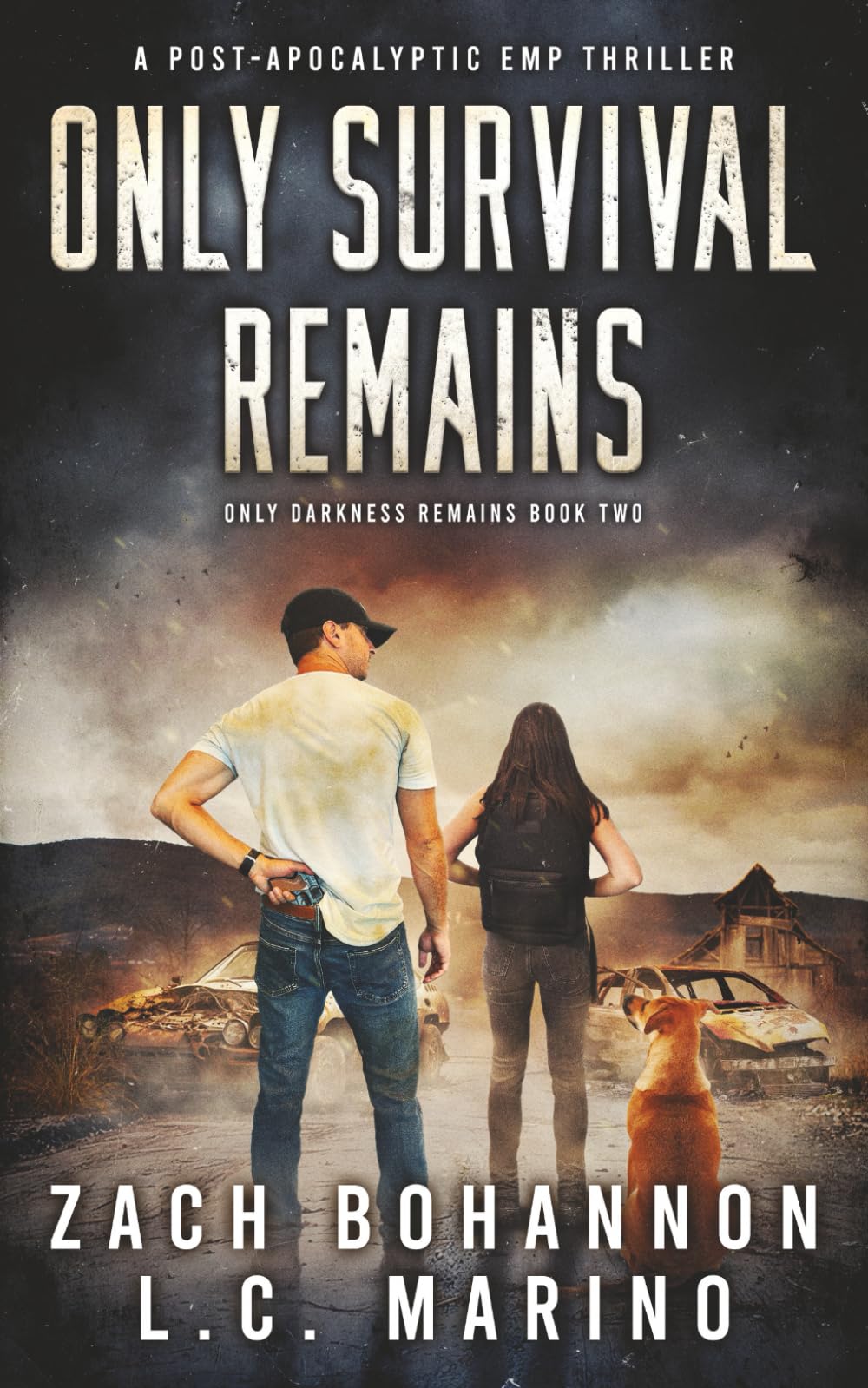 Only Survival Remains: A Post-Apocalyptic EMP Survival Thriller (Only Darkness Remains Book 2)