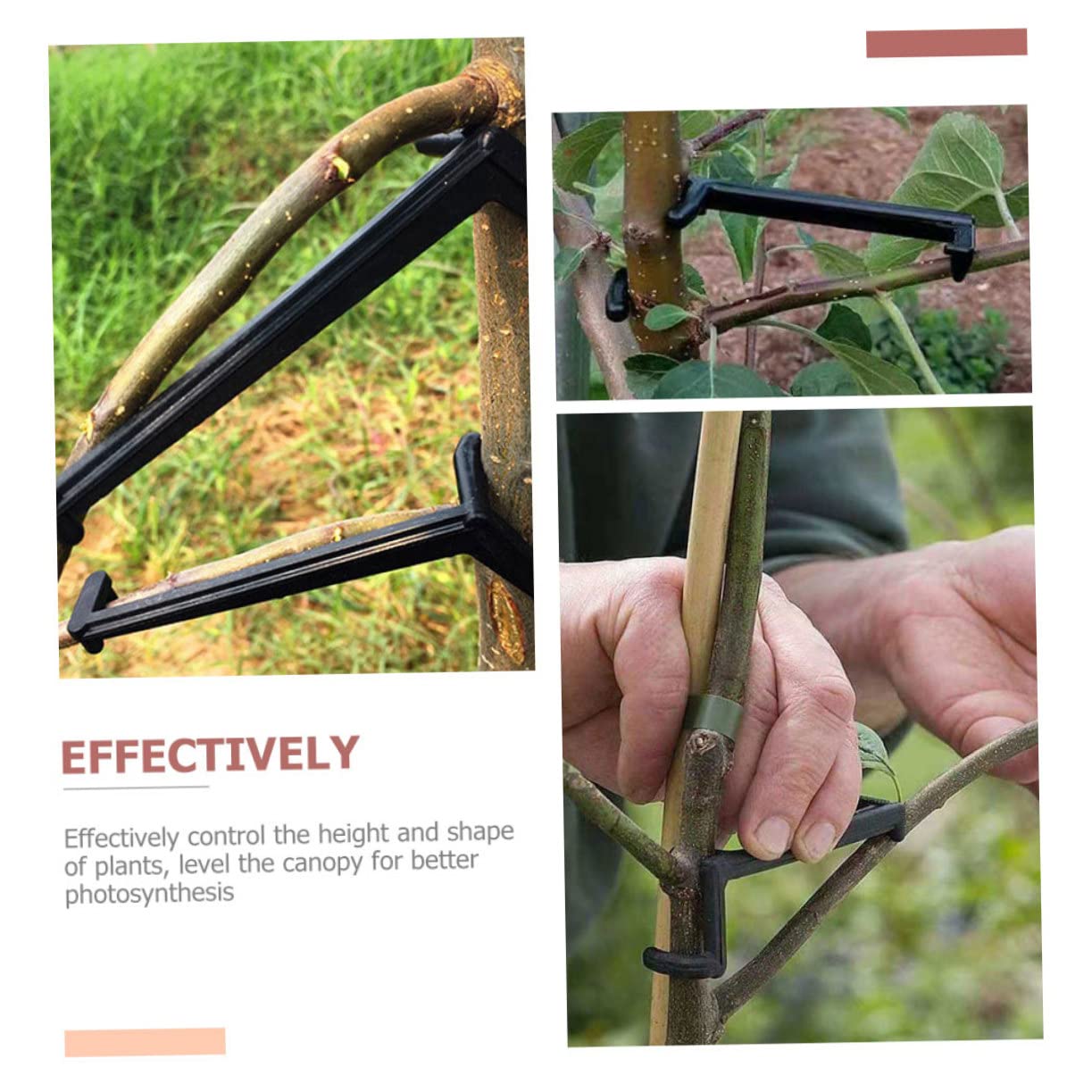 INOOMP 50stücke Teiliges Pflanzenzweig Spreizer Verstellbare Clips Zur Unterstützung Von Pflanzen Für Effektives Biegen Und Formen Von Obstbäumen Und Gartenpflanzen