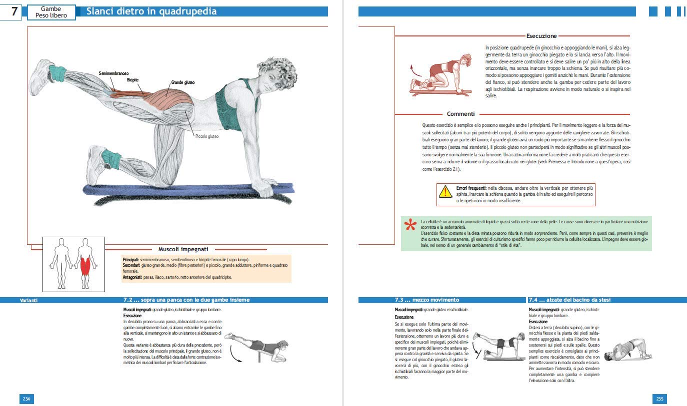 Enciclopedia degli esercizi di muscolazione