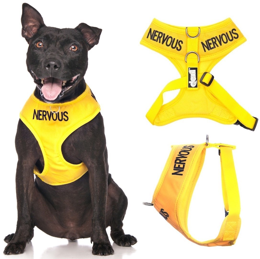 DexilNervous Yellow Color Coded Waterproof Padded Adjustable Non Pull Front and Back Ring Alert Warning Medium Vest Dog Harness Prevents Accidents By Warning Others of Your Dog in Advance