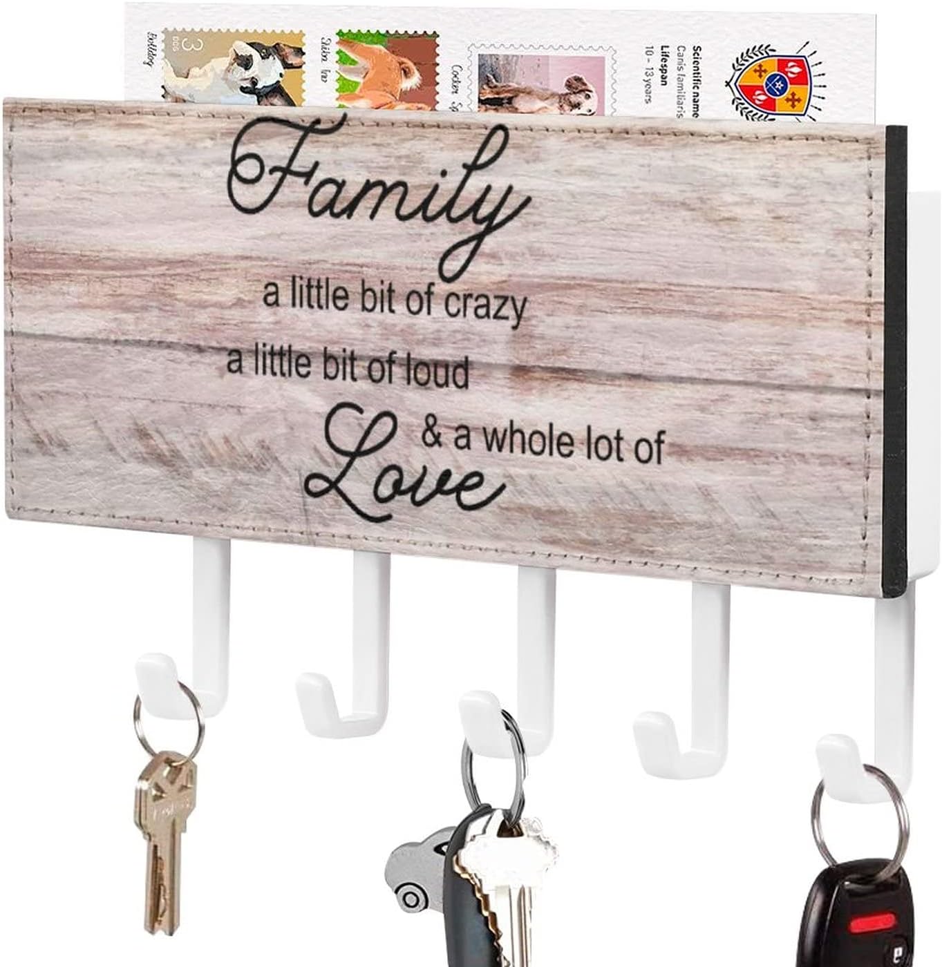 Family A Little Bit of Crazy A Little Bit of Loud Key Holder Wall Mount Key Hooks Family Phrase Self Adhesive Key Organizer Rack Classic Decoration for Mudroom Entryway Office Kitchen 7x4 inch
