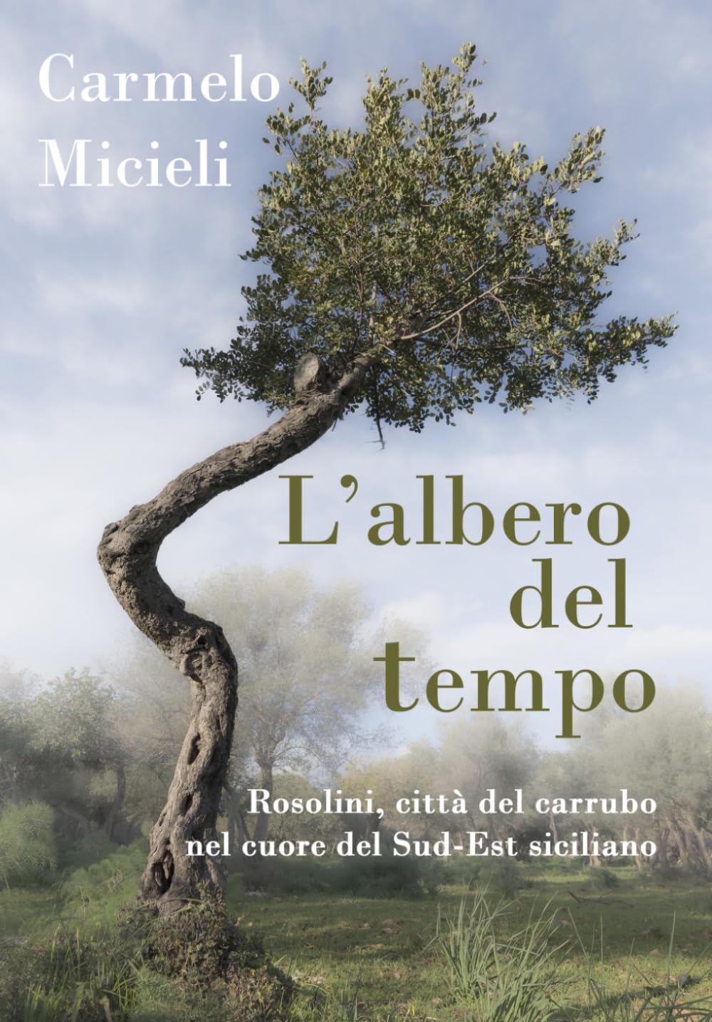 L'albero del tempo: Rosolini, città del carrubo nel cuore del Sud-Est siciliano.