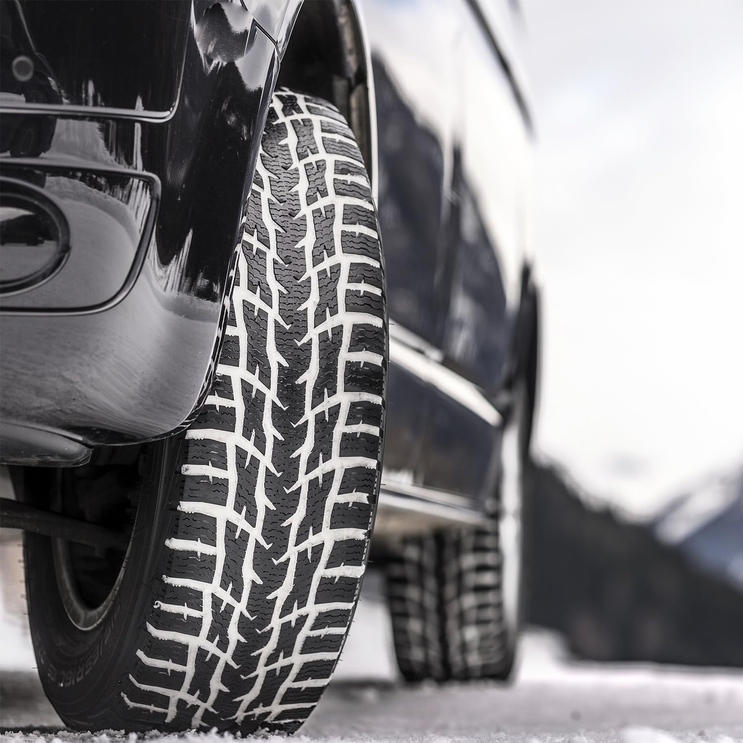 Nokian WR C3 Performance-Winter Radial Tire - 225/75R16C 121R