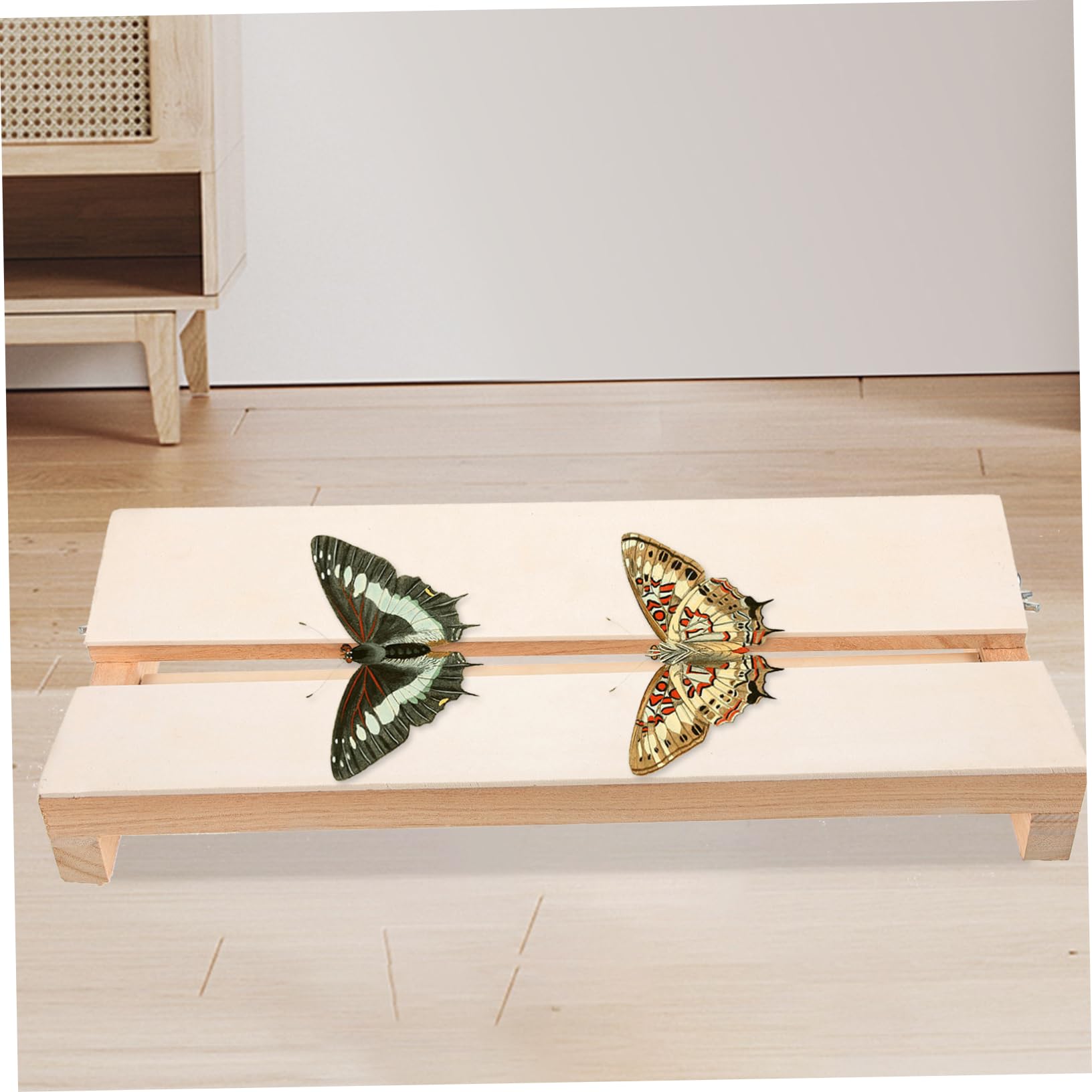 GLEAVI Real Pinning Board Wooden Specimen Display for Butterflies Science Teaching Tool