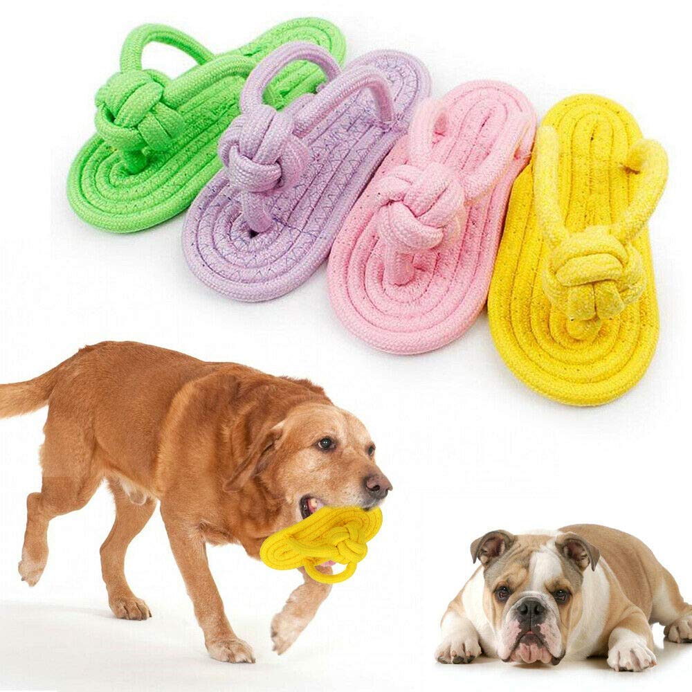 Sage Square Cat Playful Toys and Accessories (Design 16) (B08BJWC7WV) Amazon Price History, Amazon Price Tracker