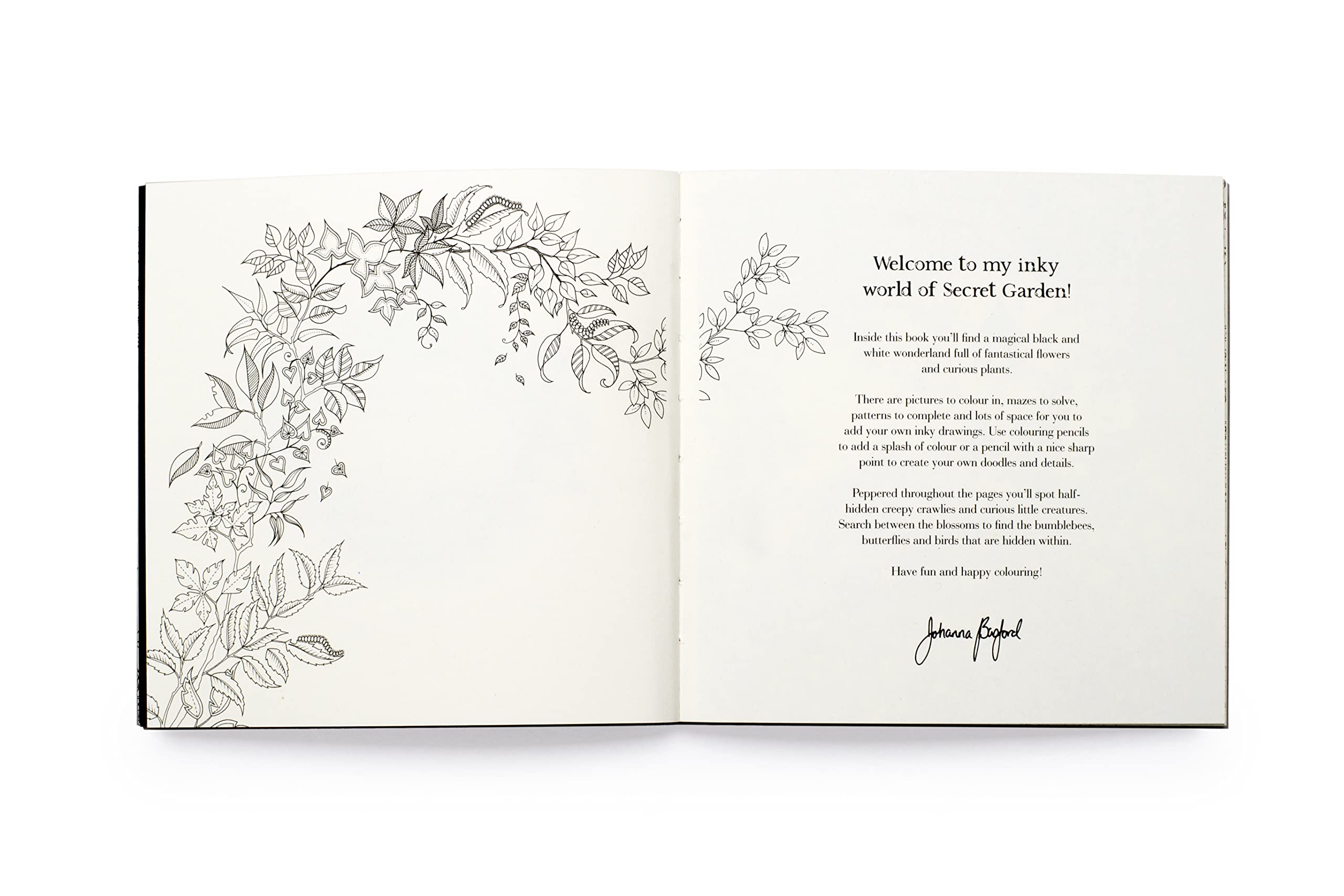 Miniature Secret Garden /anglais: A Pocket-Sized Coloring Book for Adults