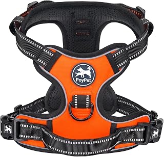 PoyPet No Pull Hundegeschirr, reflektierendes Westengeschirr mit 2 Leinenbefestigungen und einfachem Steuergriff für kleine mittelgroße Hunde (Orange, M (1er Pack))