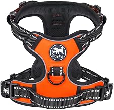 PoyPet No Pull Reflective Dog Harness with 2 Leash Ties & Simple Control Handle for Small Medium Dogs, Orange, XL
