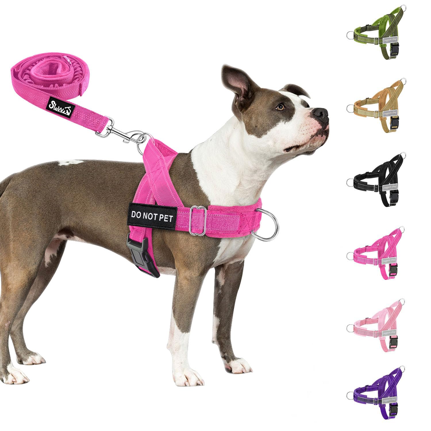 Eyein Hundegeschirr für mittelgroße Hunde mit Leine, Anti-Zug Geschirr weich gepolstert mit 2 Leinenclips, reflektierend & verstellbar Brustgeschirr für Spaziergänge Training (Magenta, S)