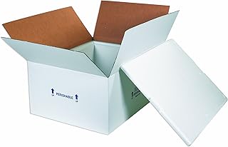 Aviditi Insulated Carton with Foam Shipping Kit, 26