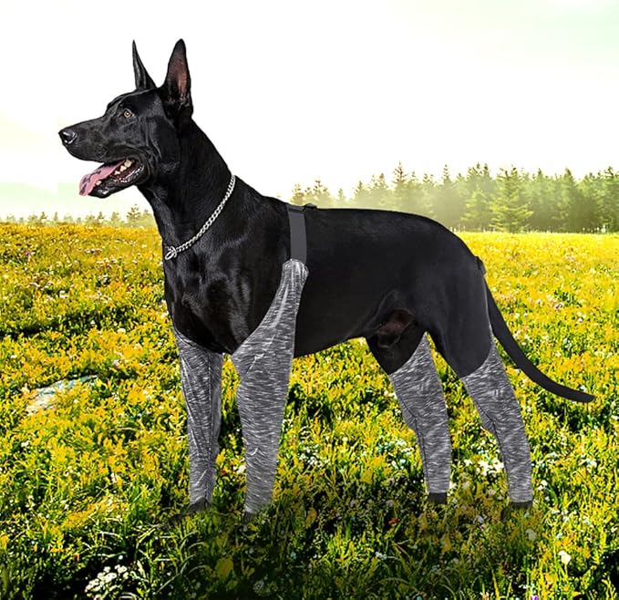 Hodeffior Dog Front Leg Brace, Dog Wrist Support Front Leg Dog Knee