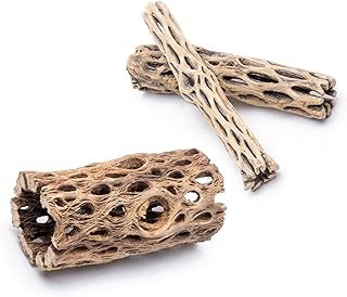 SubstrateSource Natural Cholla Wood - 4PC (1 6" Tunnel/Log + 2 6" Sticks)