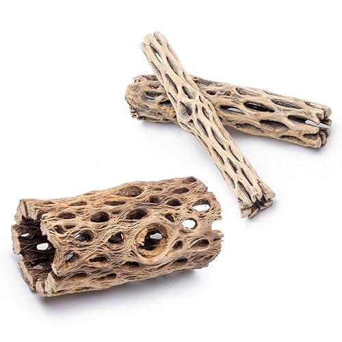 SubstrateSource Natural Cholla Wood - 3PC (1 4" Tunnel/Log +