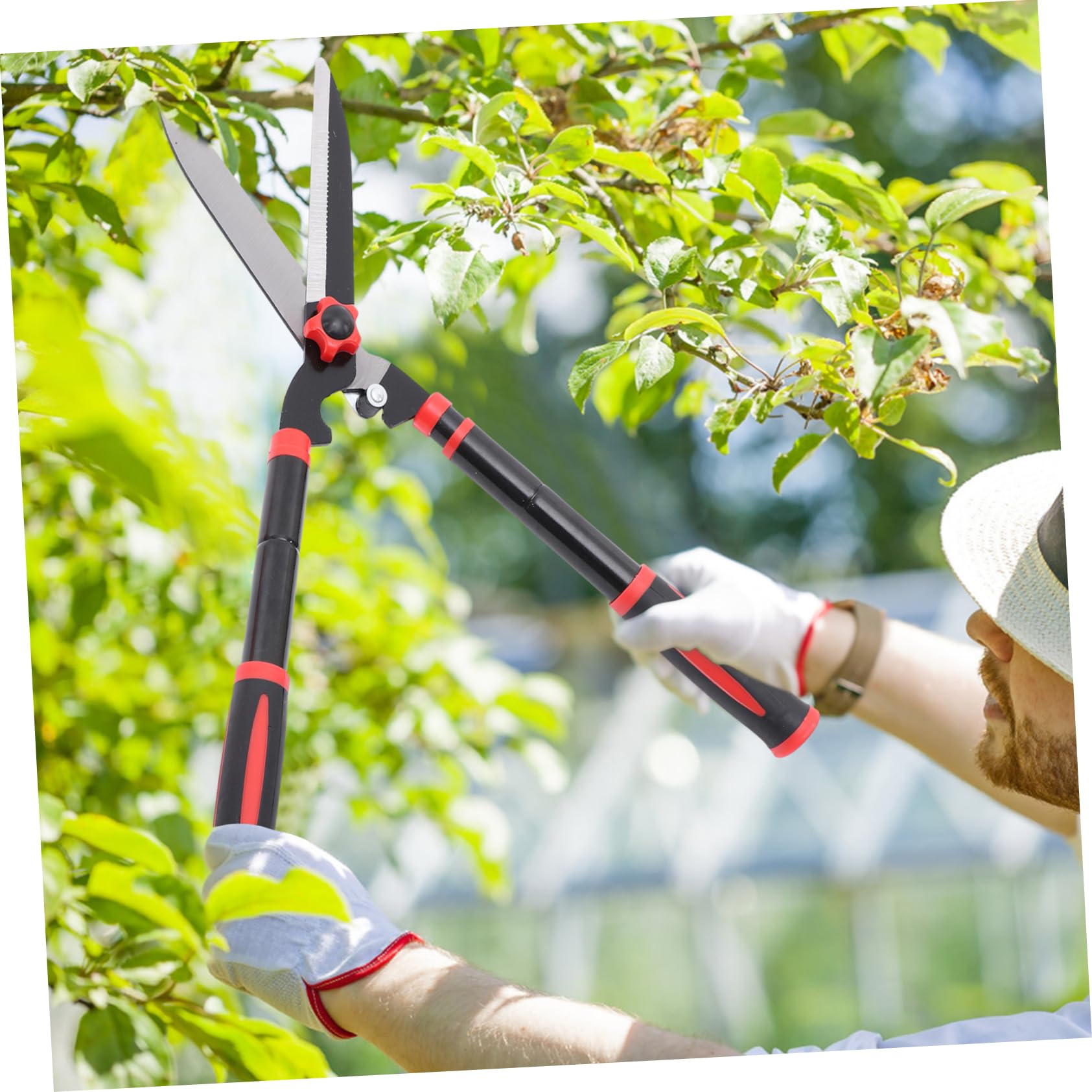 Abaodam Cisailles de Jardin Télescopiques en Acier Sk5 Poignée en Caoutchouc, Outils de Taille-Haies Robustes pour Couper Branches et Arbustes en Extérieur