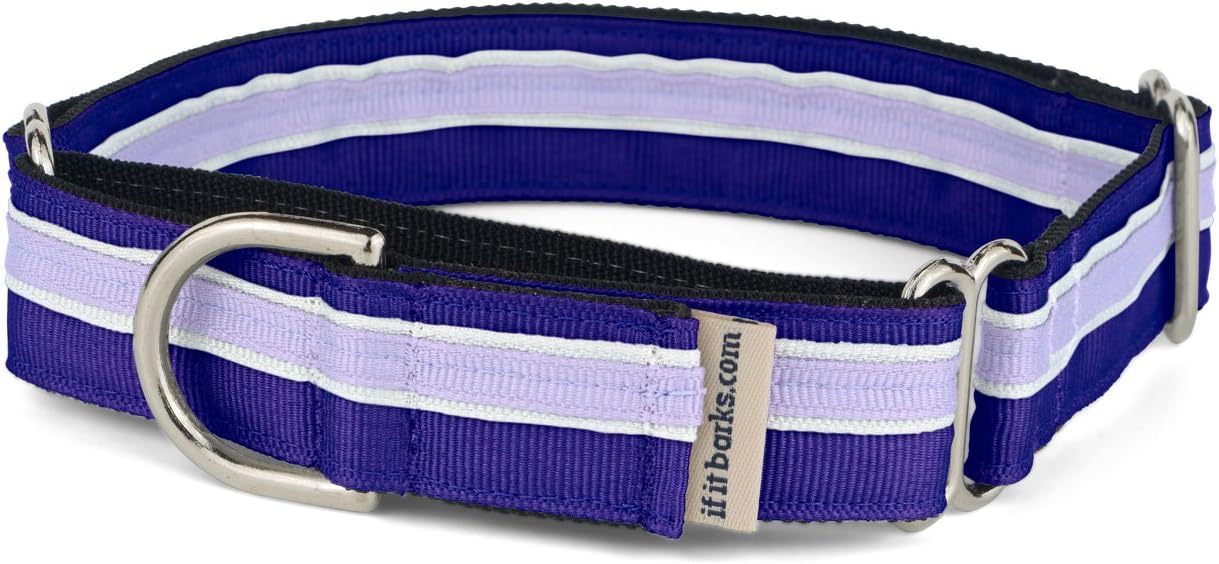 If It Barks 1" Martingale Collar for Dogs, Adjustable Nylon, USA Made, Medium, Grape Crush